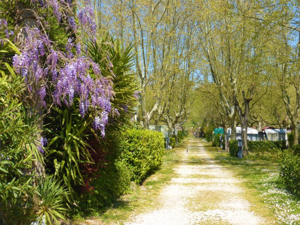 Camping Smeraldo Trevignano Romano Zewnętrze zdjęcie
